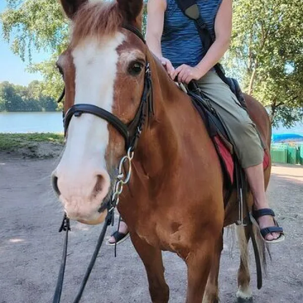 Константин